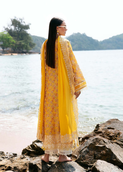 MAYAL LUXURY LAWN