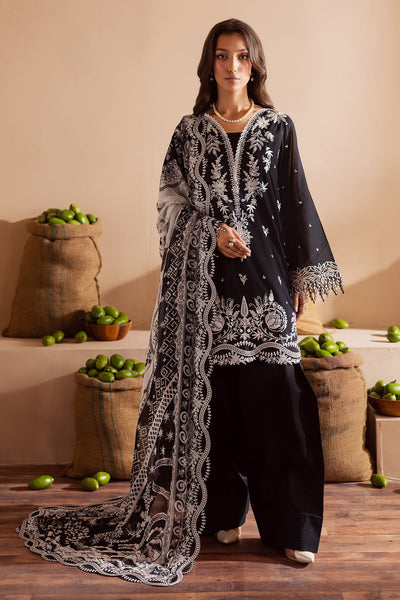 Koyal Lawn Collections