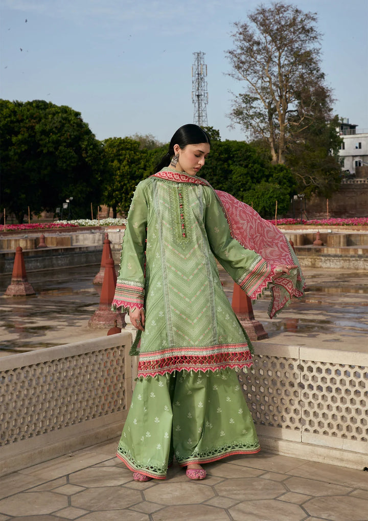 PRINTS CHIFFON COLLECTION &