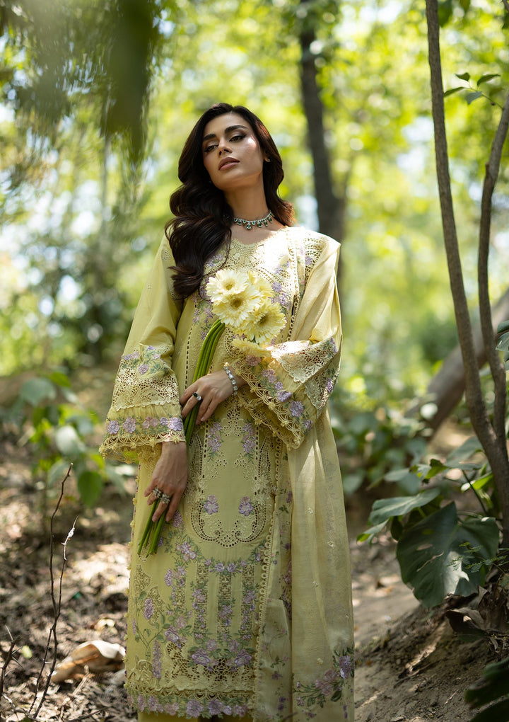 LUXURY LAWN VOL ll &