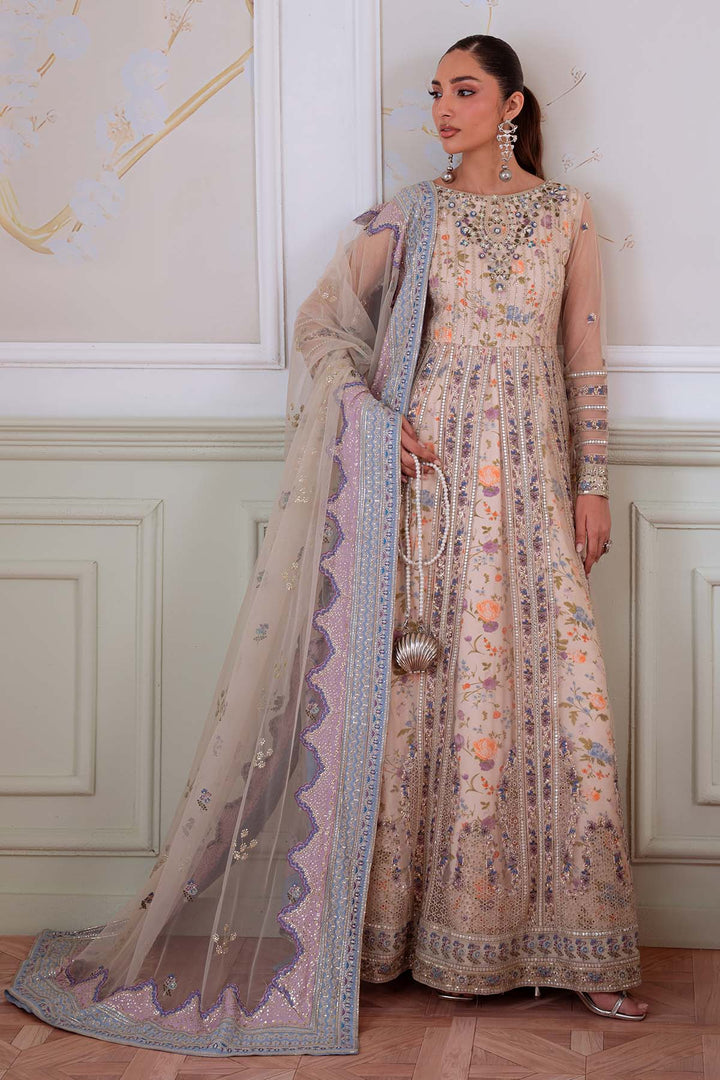 Elanora Luxury Chiffon
