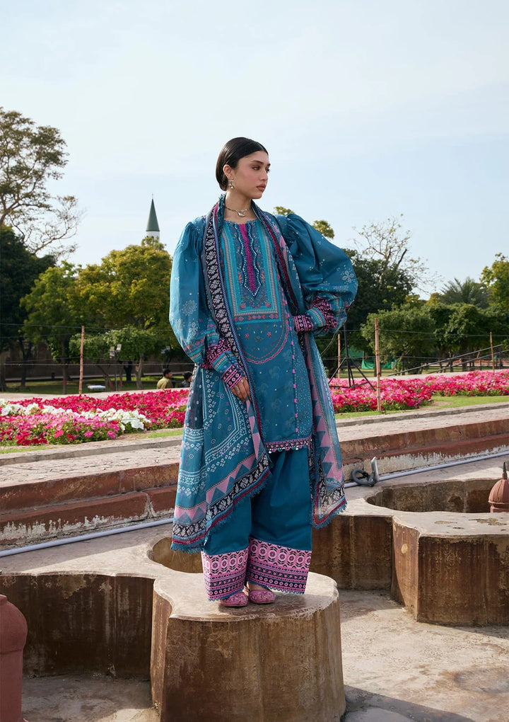 PRINTS CHIFFON COLLECTION &