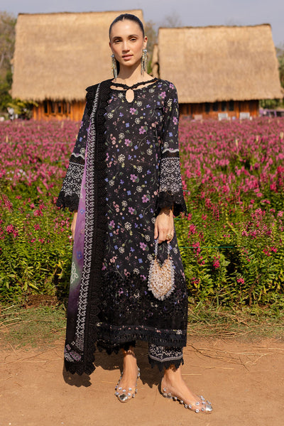 Bloom Lawn Collection