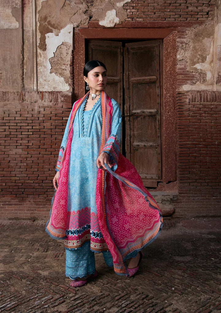 PRINTS CHIFFON COLLECTION &