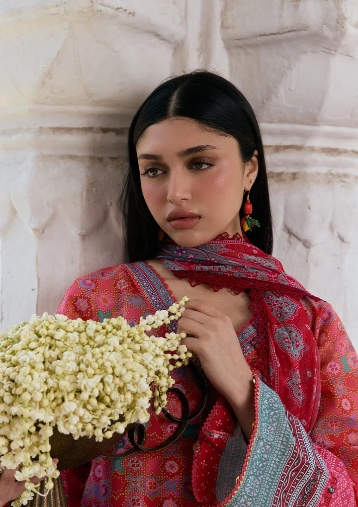 PRINTS CHIFFON COLLECTION &