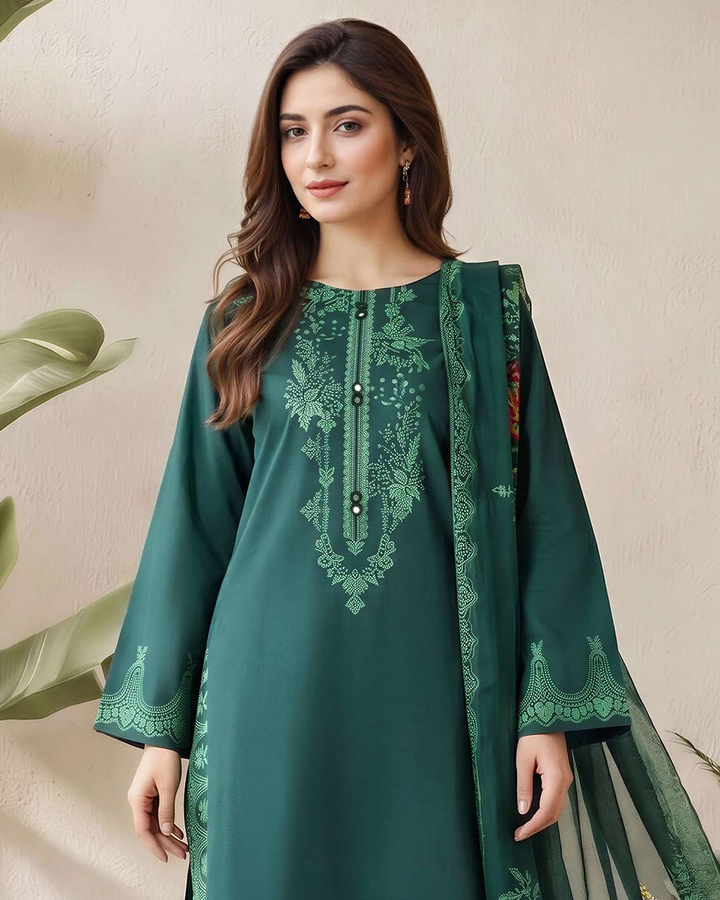Embroidered 3-piece (pret)
