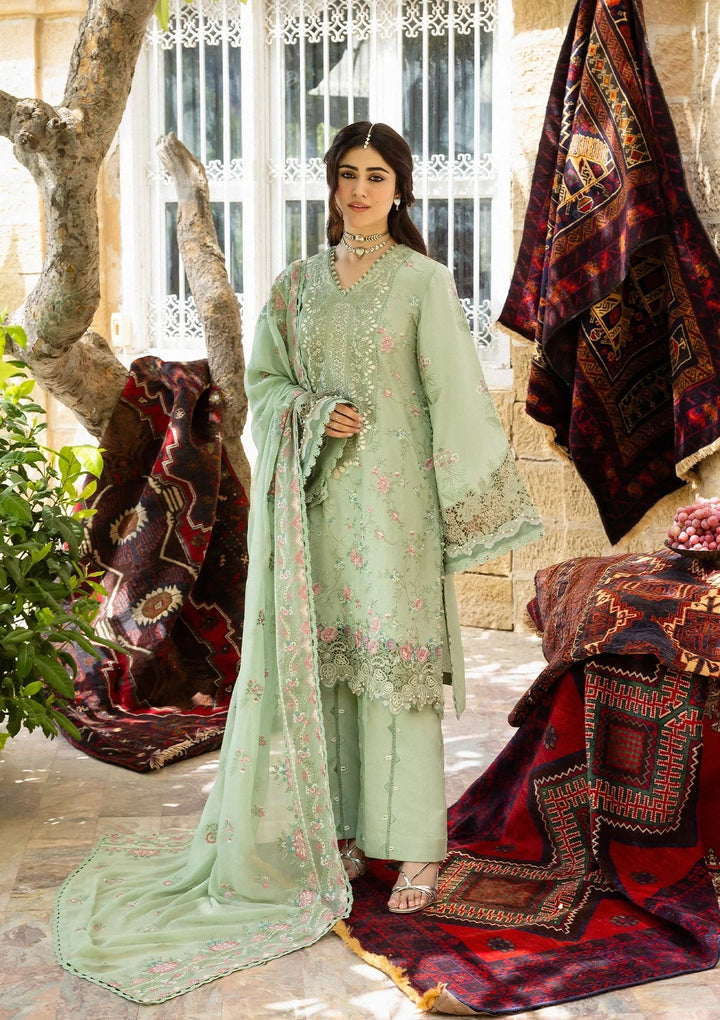 Karandi with Embroidered Chiffon