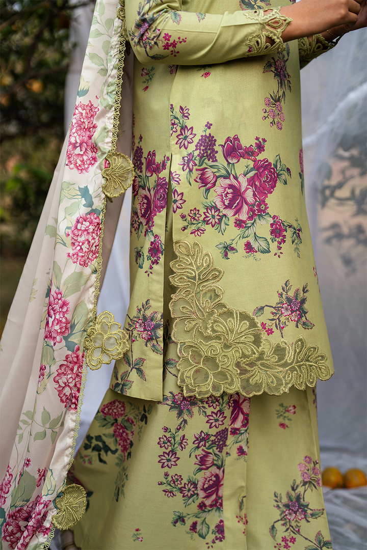 Printed Lawn