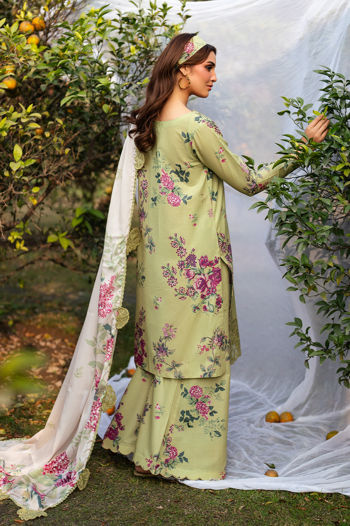 Printed Lawn