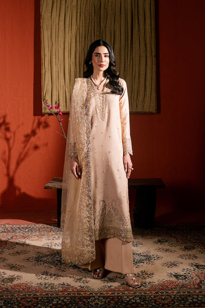 Raw Silk Embroidered Dress Pret