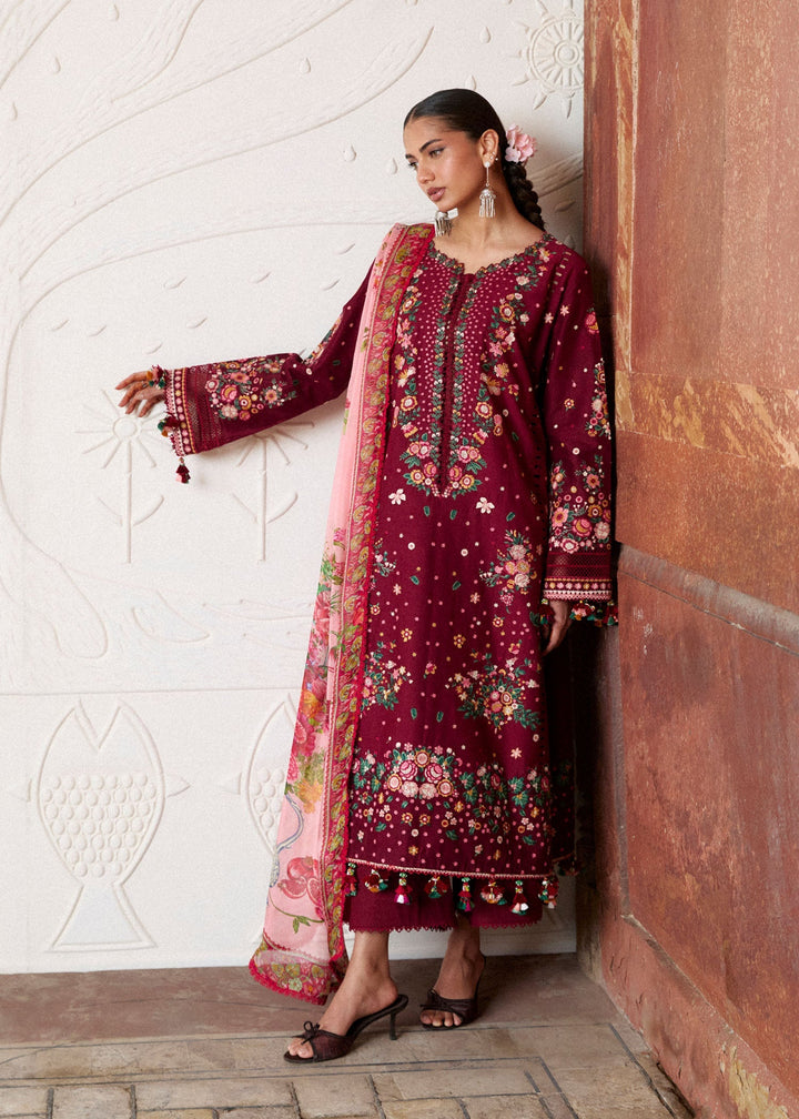 Zan Lawn Collections