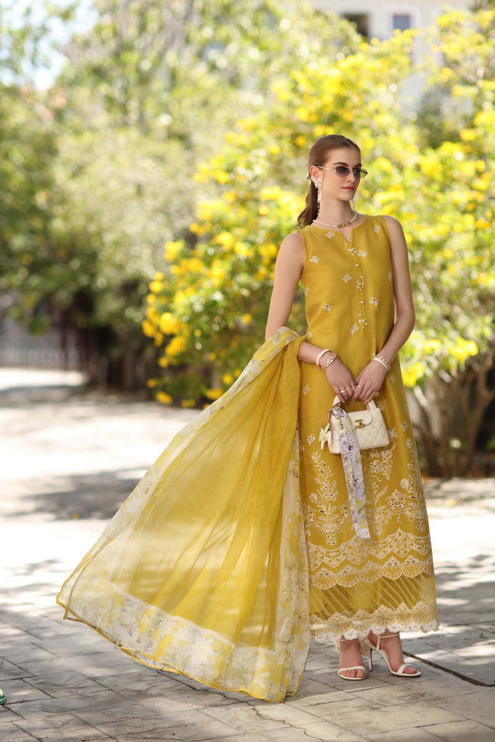 Noor Eid Luxe Printskhaas &