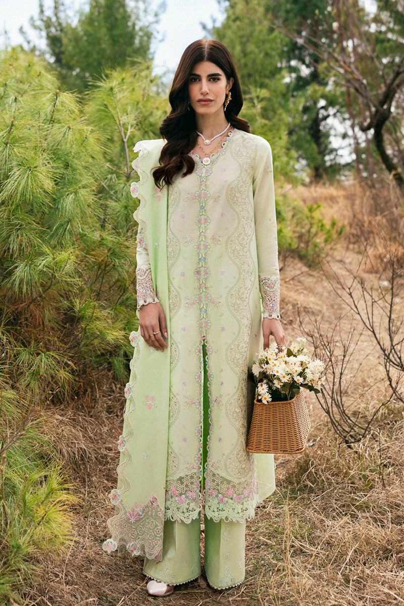 QLINEKARI LAWN