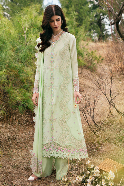 QLINEKARI LAWN