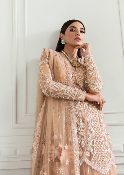 Saira shakira wedding collection by Crimson