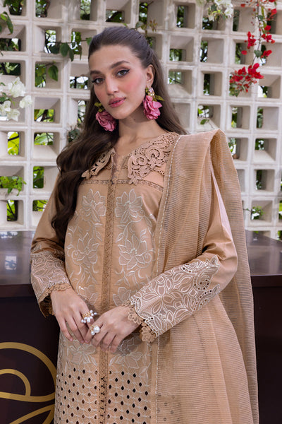 Carnation Luxury Festive