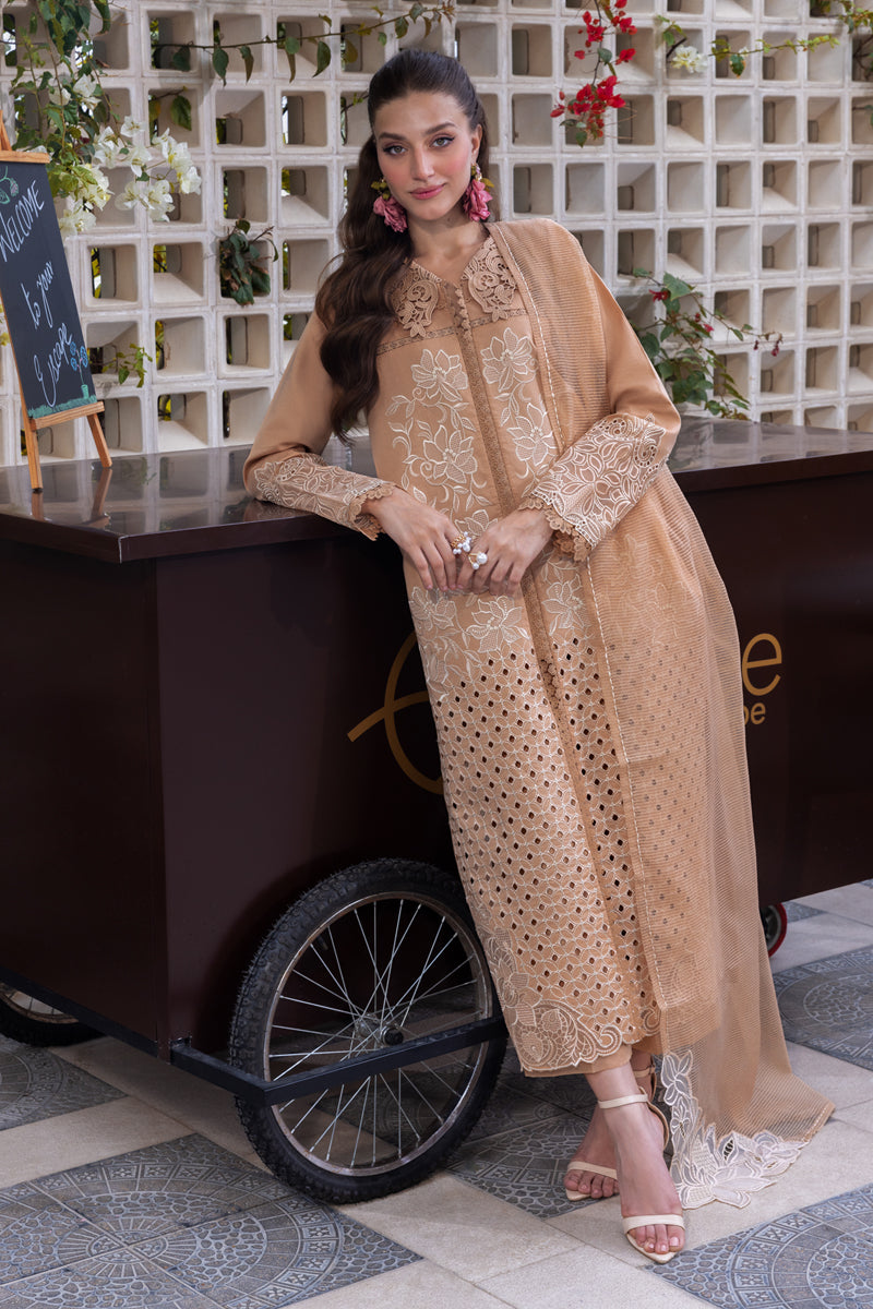 Carnation Luxury Festive