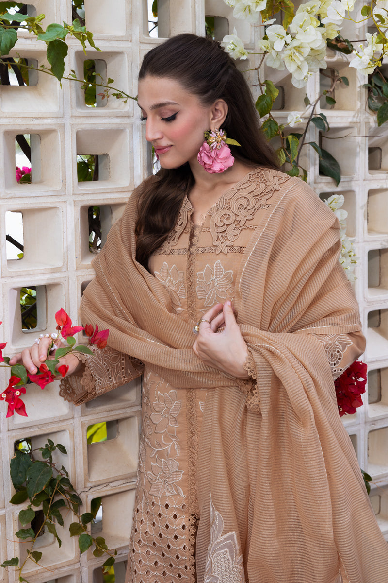 Carnation Luxury Festive