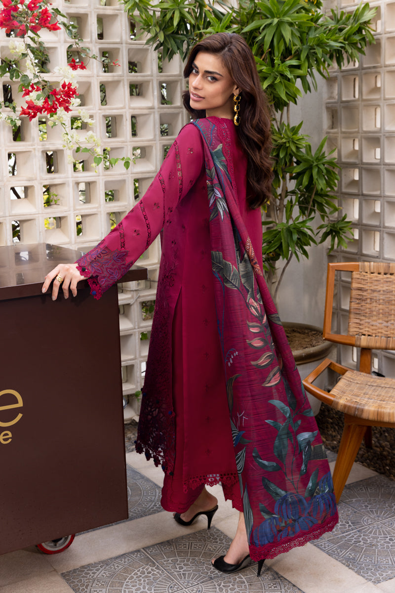 Carnation Luxury Festive