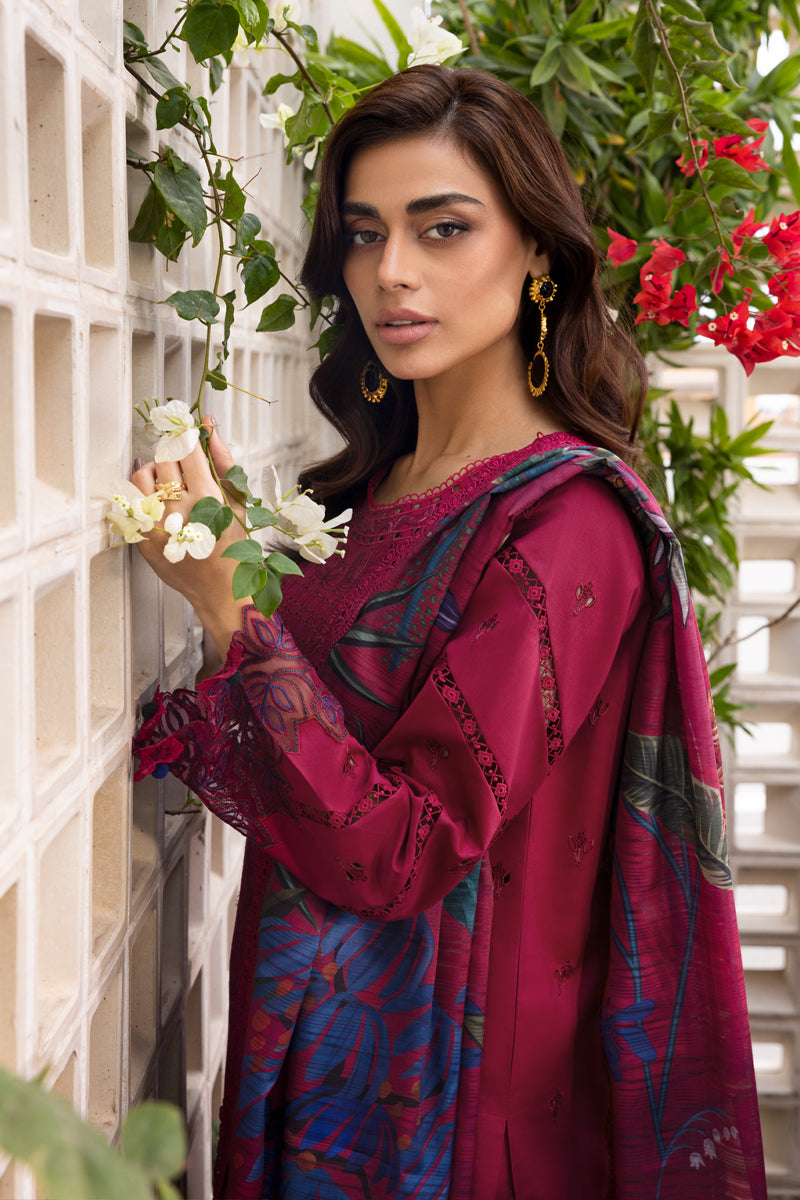 Carnation Luxury Festive
