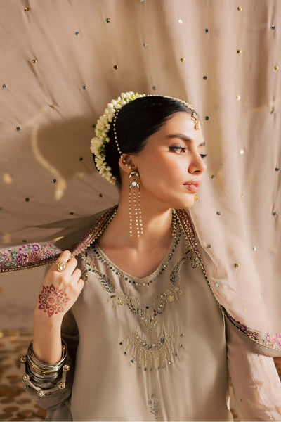 Mukeshkari Embroidered Chiffon