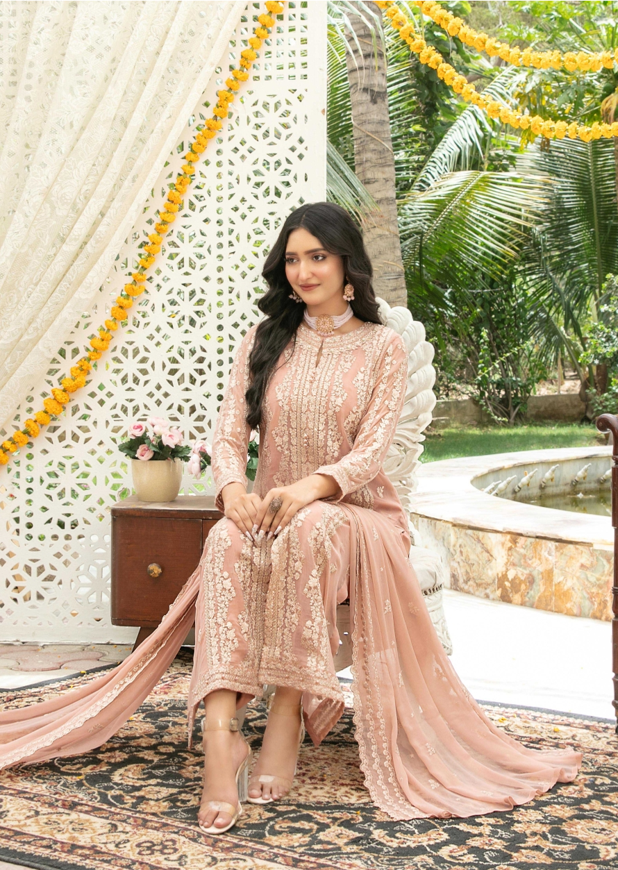 Nuresa Embroidered Fancy Chiffon