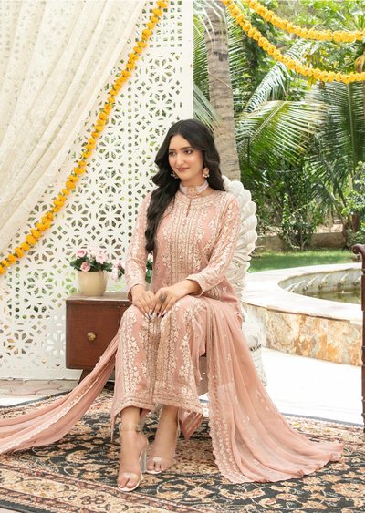 Nuresa Embroidered Fancy Chiffon