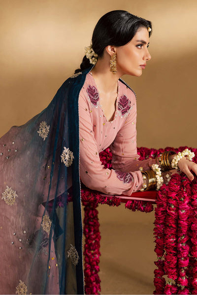 Mukeshkari Embroidered Chiffon