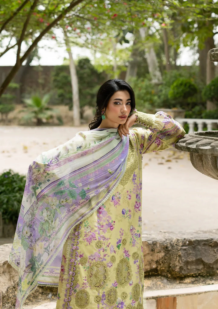 Signature Embroidered Lawn with Chiffon Collection Vol II &