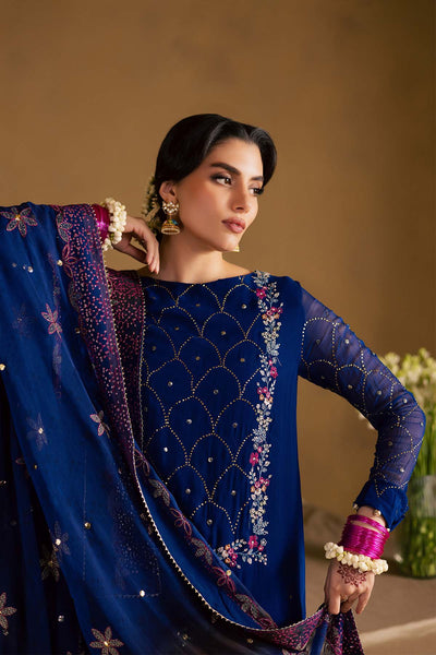 Mukeshkari Embroidered Chiffon