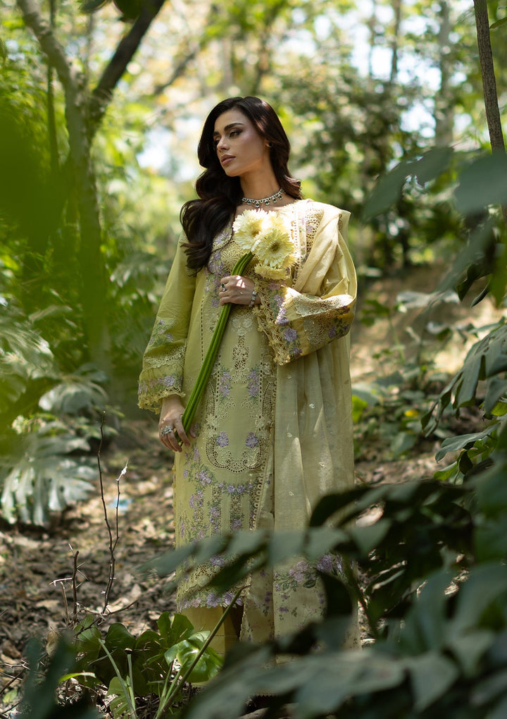 LUXURY LAWN VOL ll &