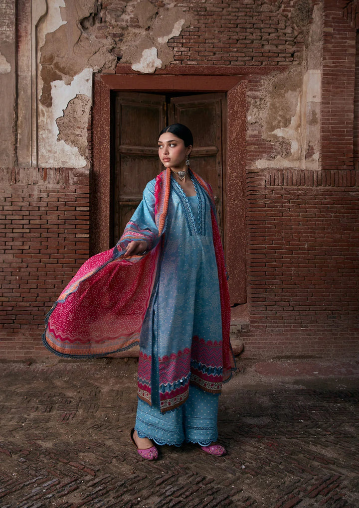 PRINTS CHIFFON COLLECTION &