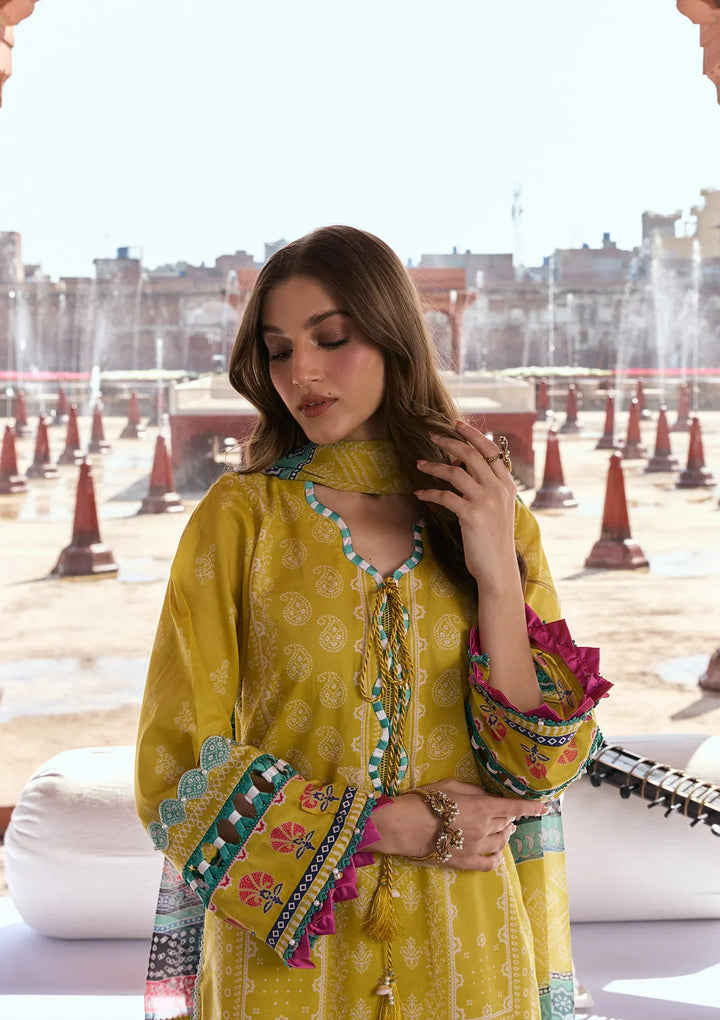 PRINTS CHIFFON COLLECTION &