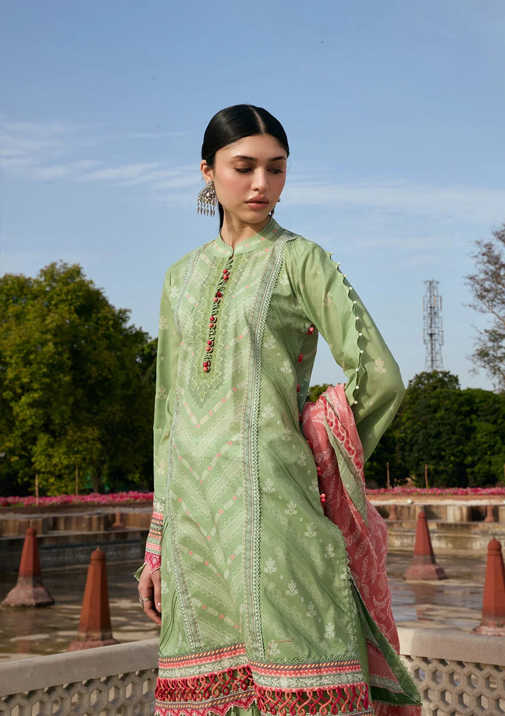 PRINTS CHIFFON COLLECTION &