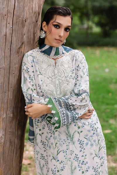 Daily Delights Unstitched Lawn
