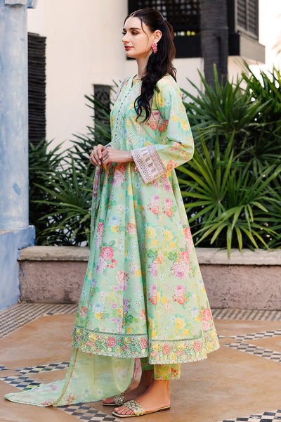 Aurea Summer Lawn