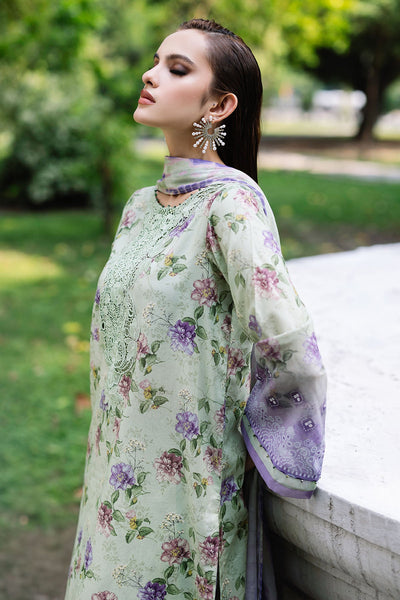 Daily Delights Unstitched Lawn