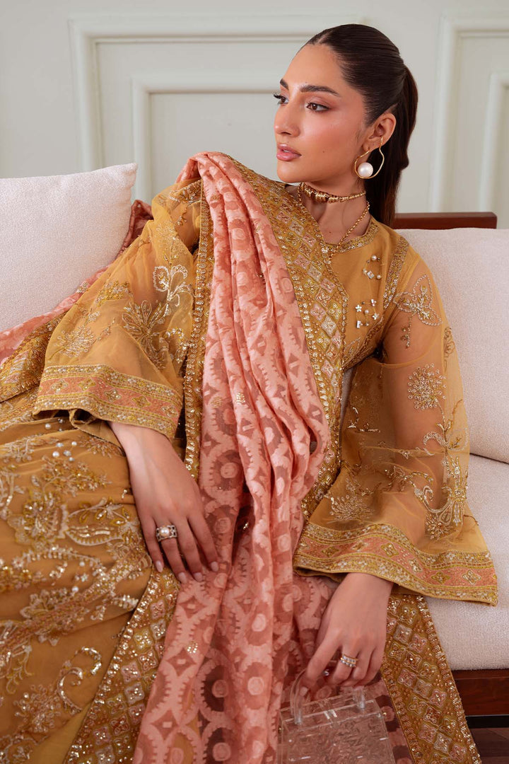 Elanora Luxury Chiffon