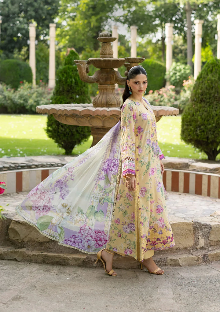 Signature Embroidered Lawn with Chiffon Collection Vol II &