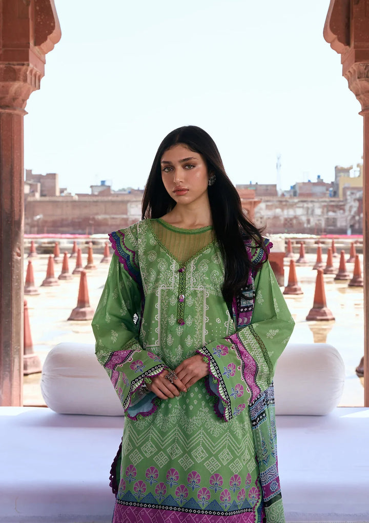 PRINTS CHIFFON COLLECTION &