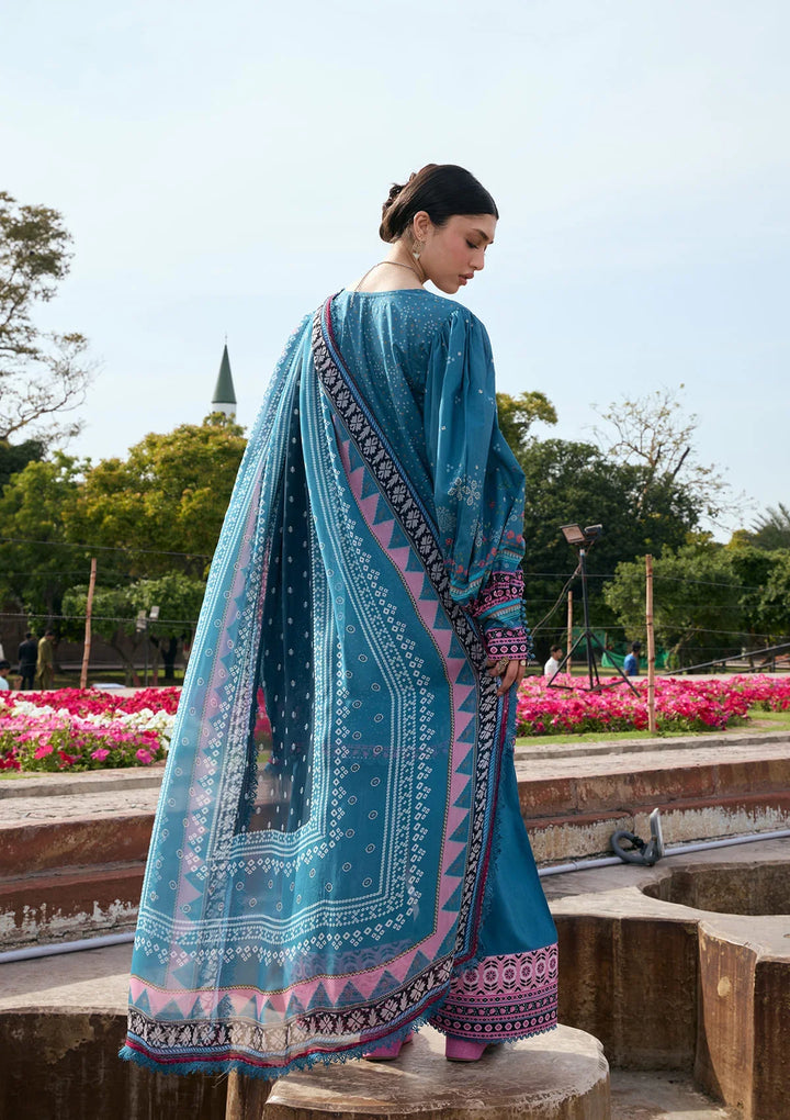 PRINTS CHIFFON COLLECTION &