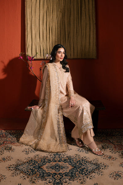 Raw Silk Embroidered Dress Pret