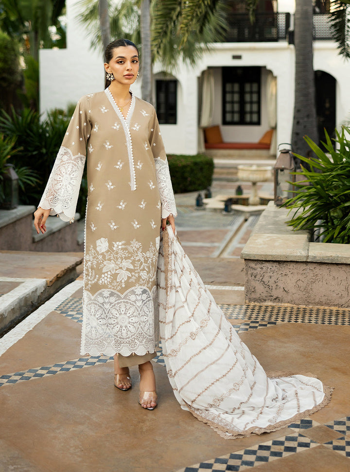 Chikankari Lawn