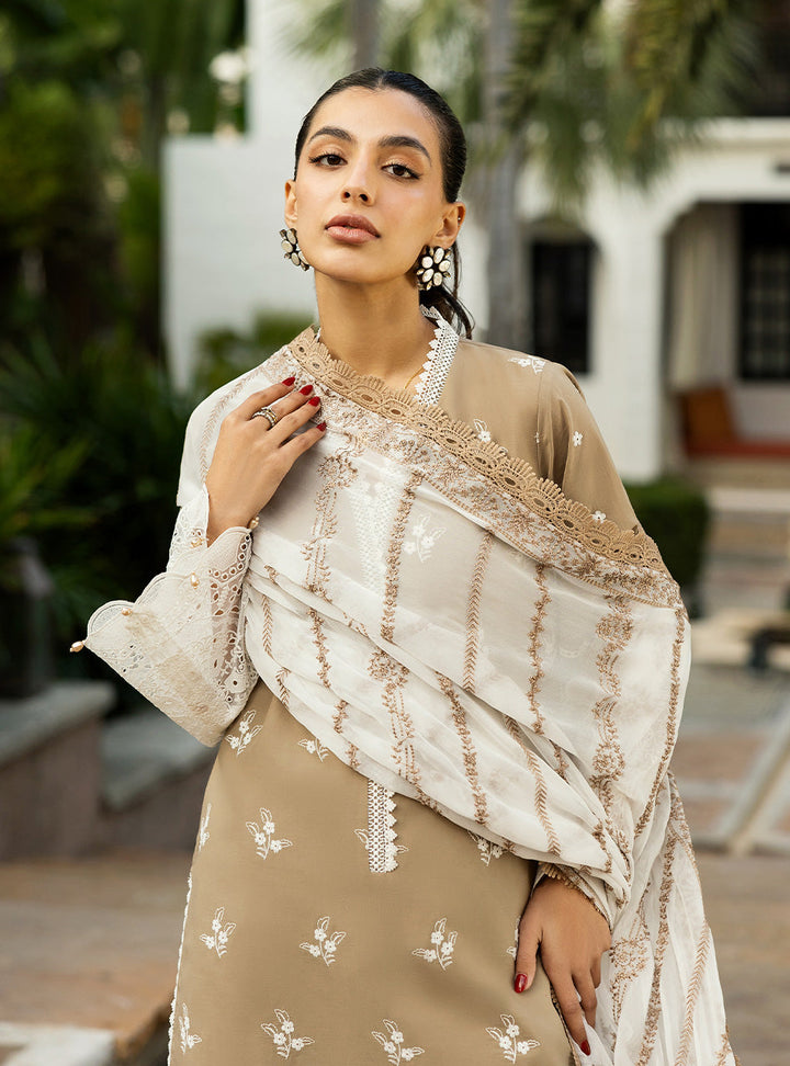 Chikankari Lawn