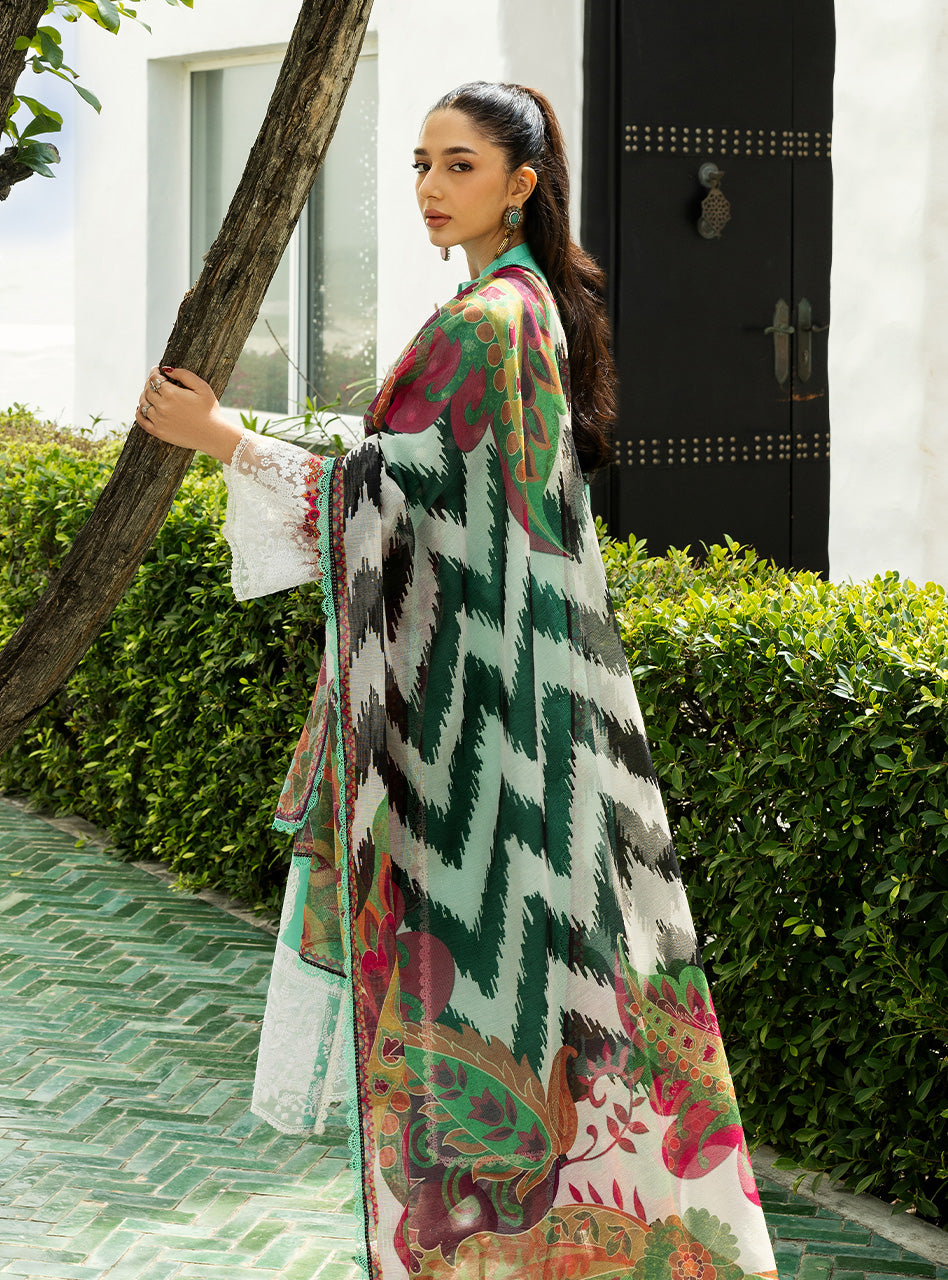 Chikankari Lawn