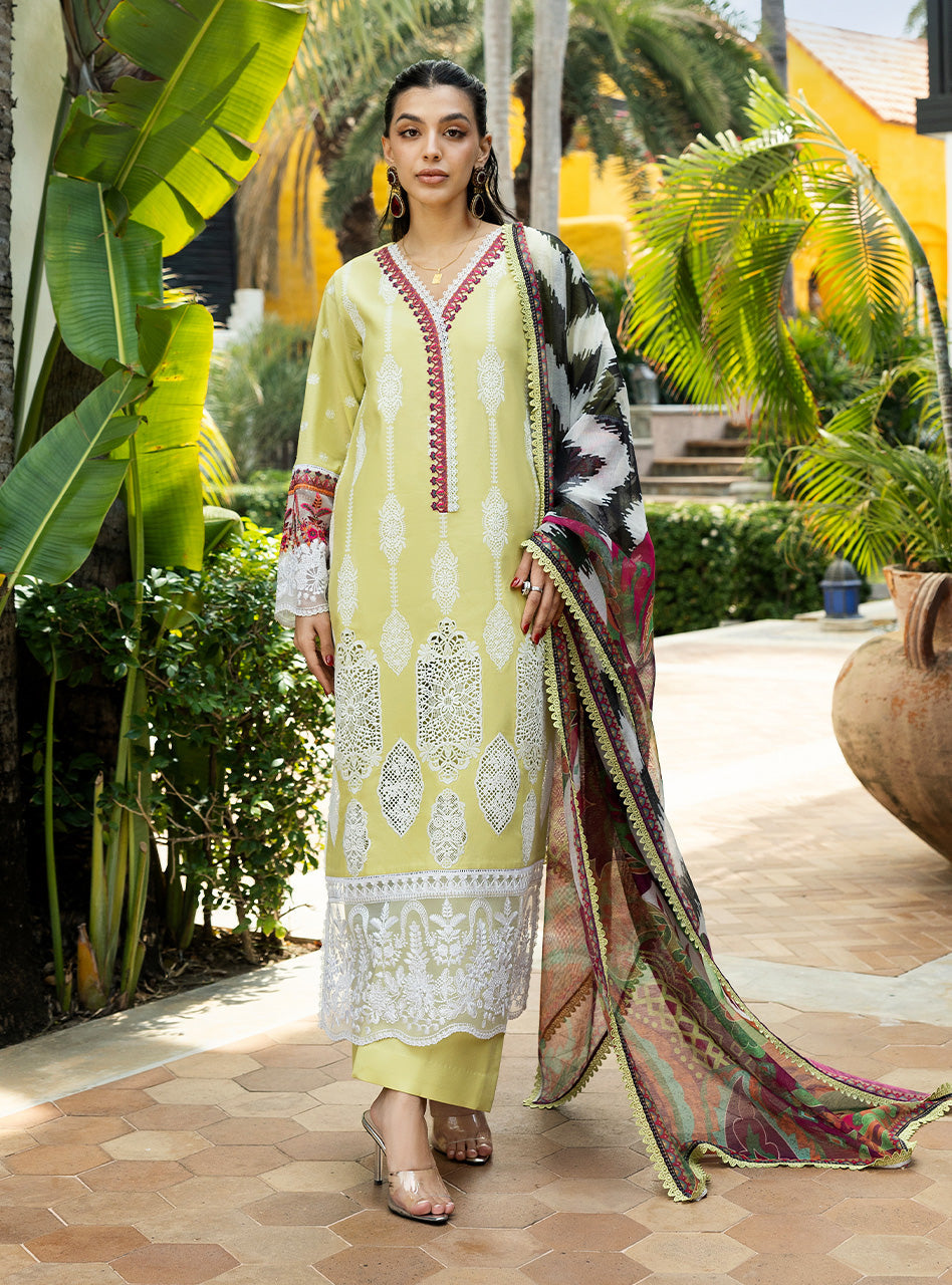 Chikankari Lawn