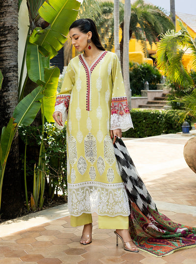 Chikankari Lawn