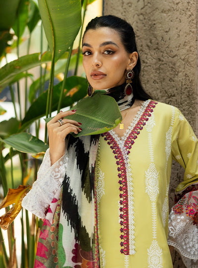 Chikankari Lawn