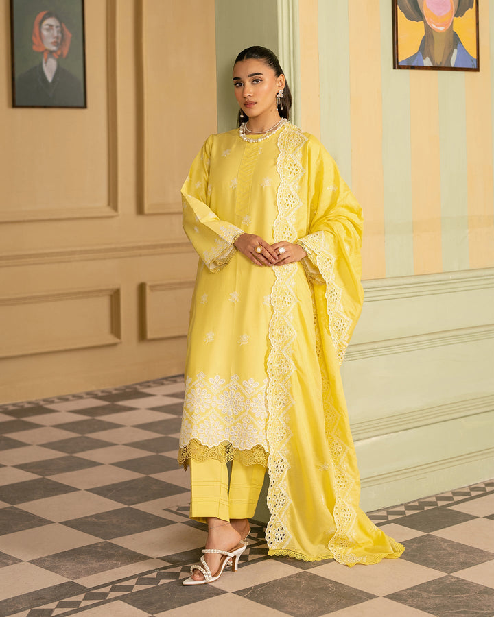 Premium Chikankari