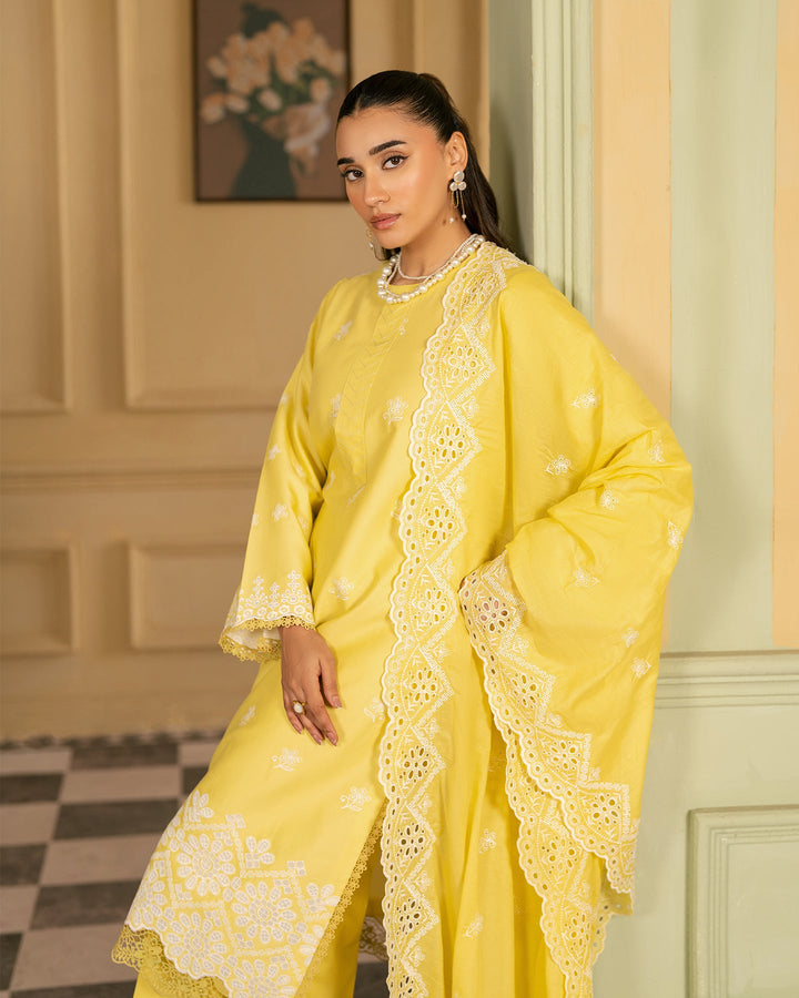 Premium Chikankari